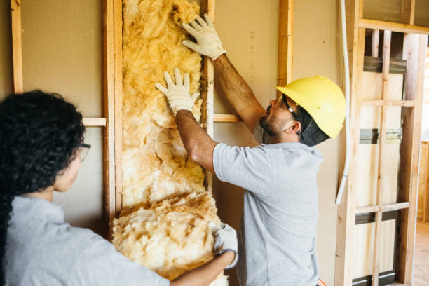 Best Best Insulation Companies  in Stonybrook, PA
