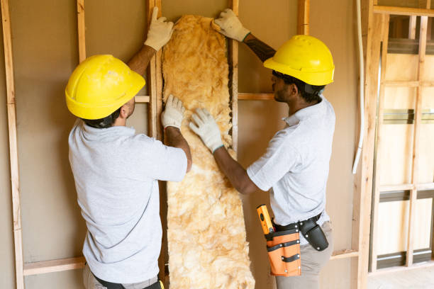 Best Energy-efficient Insulation  in Stonybrook, PA