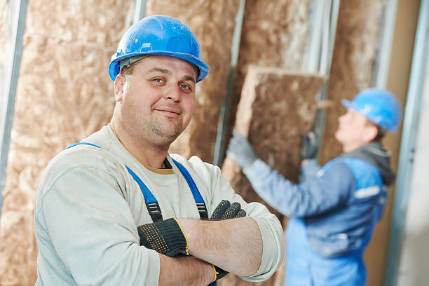 Best Cellulose Insulation  in Stonybrook, PA